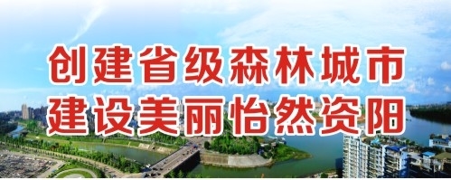 黑大鸡巴尻逼操创建省级森林城市 建设美丽怡然资阳